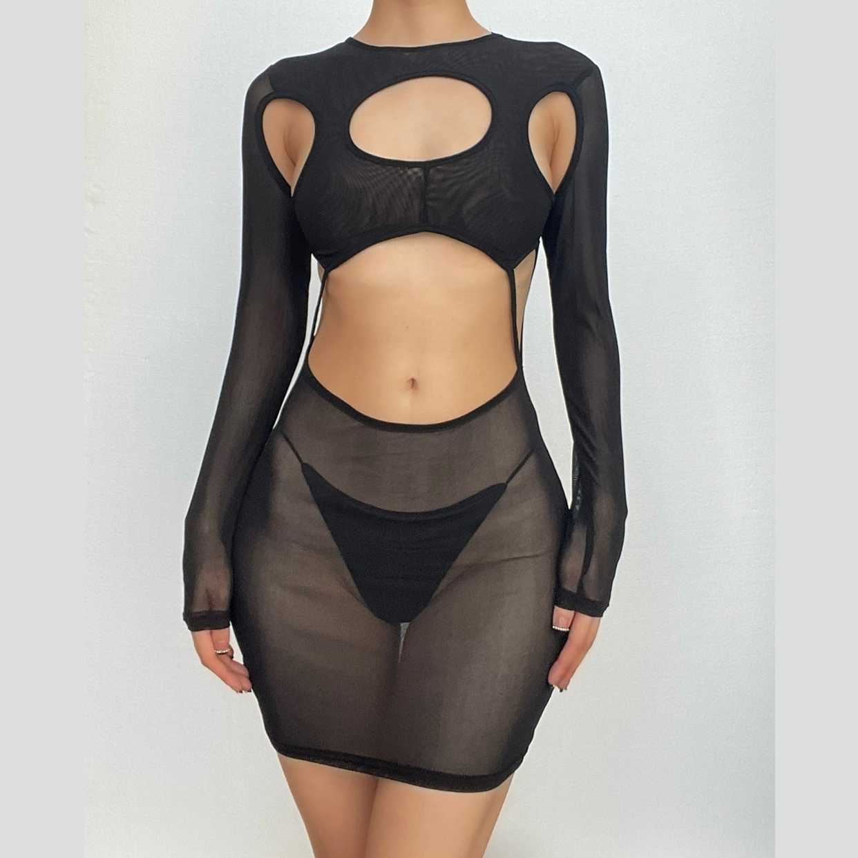 Hollow Out Sheer Mesh High Neck Long Sleeve Cutout Mini Dress