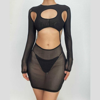 Hollow Out Sheer Mesh High Neck Long Sleeve Cutout Mini Dress