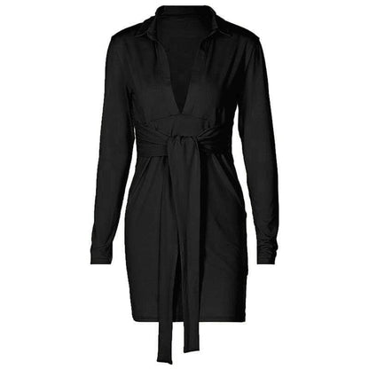 Deep V Neck Collar Tie Waist Long Sleeve Mini Dress