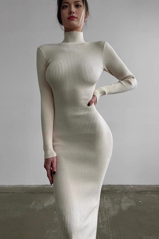 Semi-High Neck Slim Fitted Knit Sweater Dress