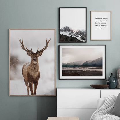 Mountain Peaks