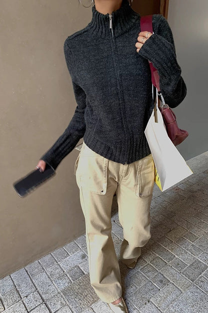 Thick Turtleneck Knit Sweater