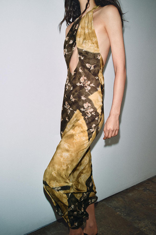 Ninah Color-block Floral Print Cutout Adjustable Halter Neck Maxi Dress