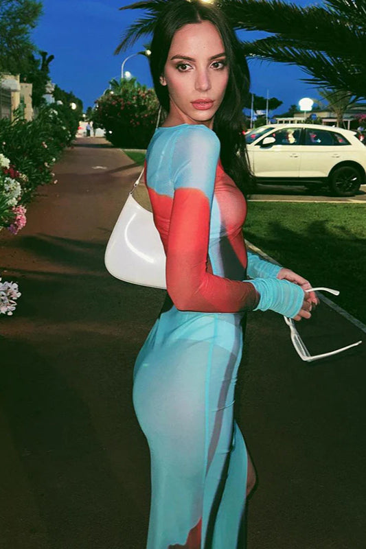 Floral Mesh Sheer Round Neck Split Maxi Dress