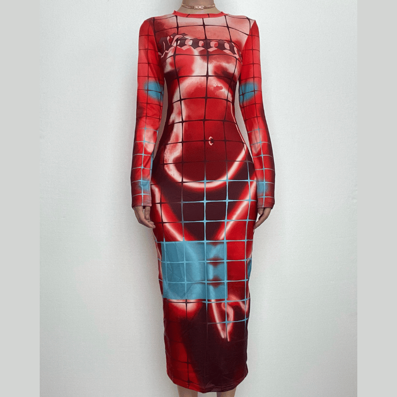 Long Sleeve Crewneck Grid Body Print Color Block Bodycon Maxi Dress