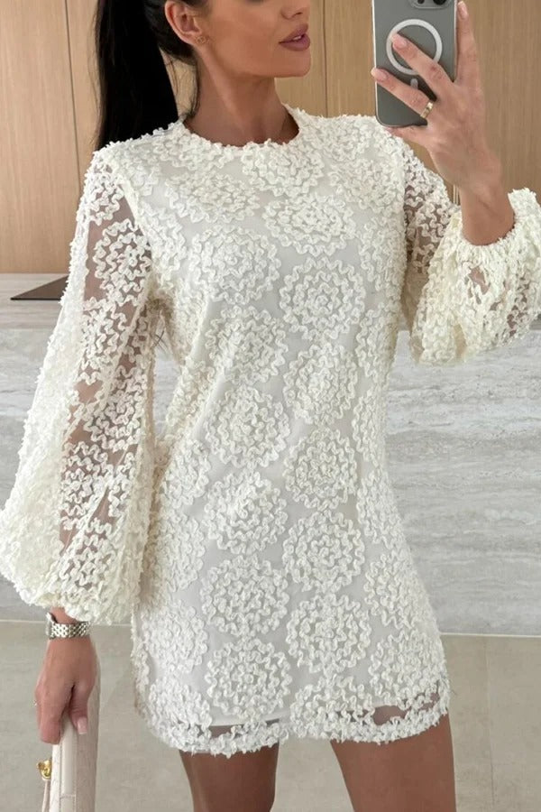 Lace Rosette Textured Crew Neck Balloon Sleeve Mini Dress