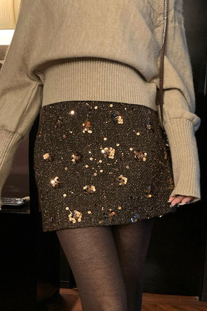 Embroidered Sequin High Waist A-Line Skirt