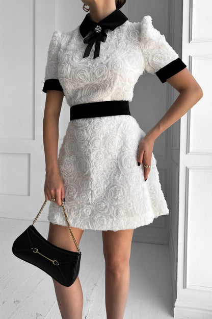 Belinda Rose Embellished Short Sleeve Mini Dress