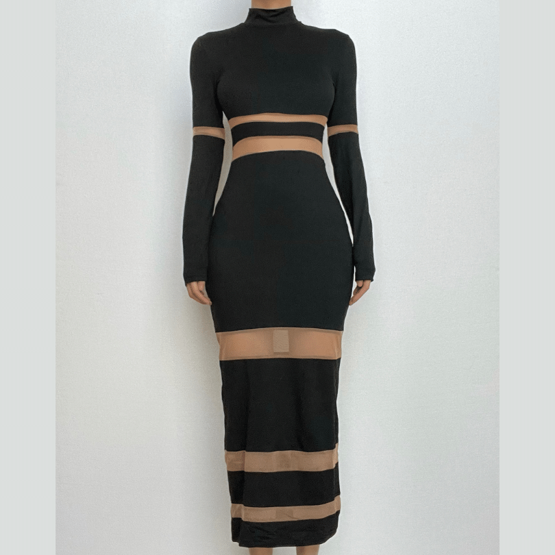 High Neck Mesh Panel Contrast Long Sleeve Bodycon Maxi Dress