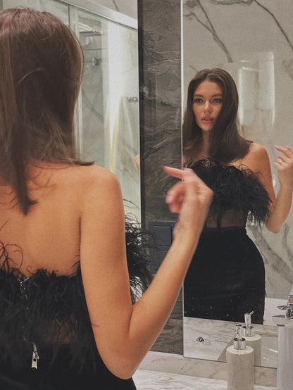 Feather Tube Mesh Corset Dress