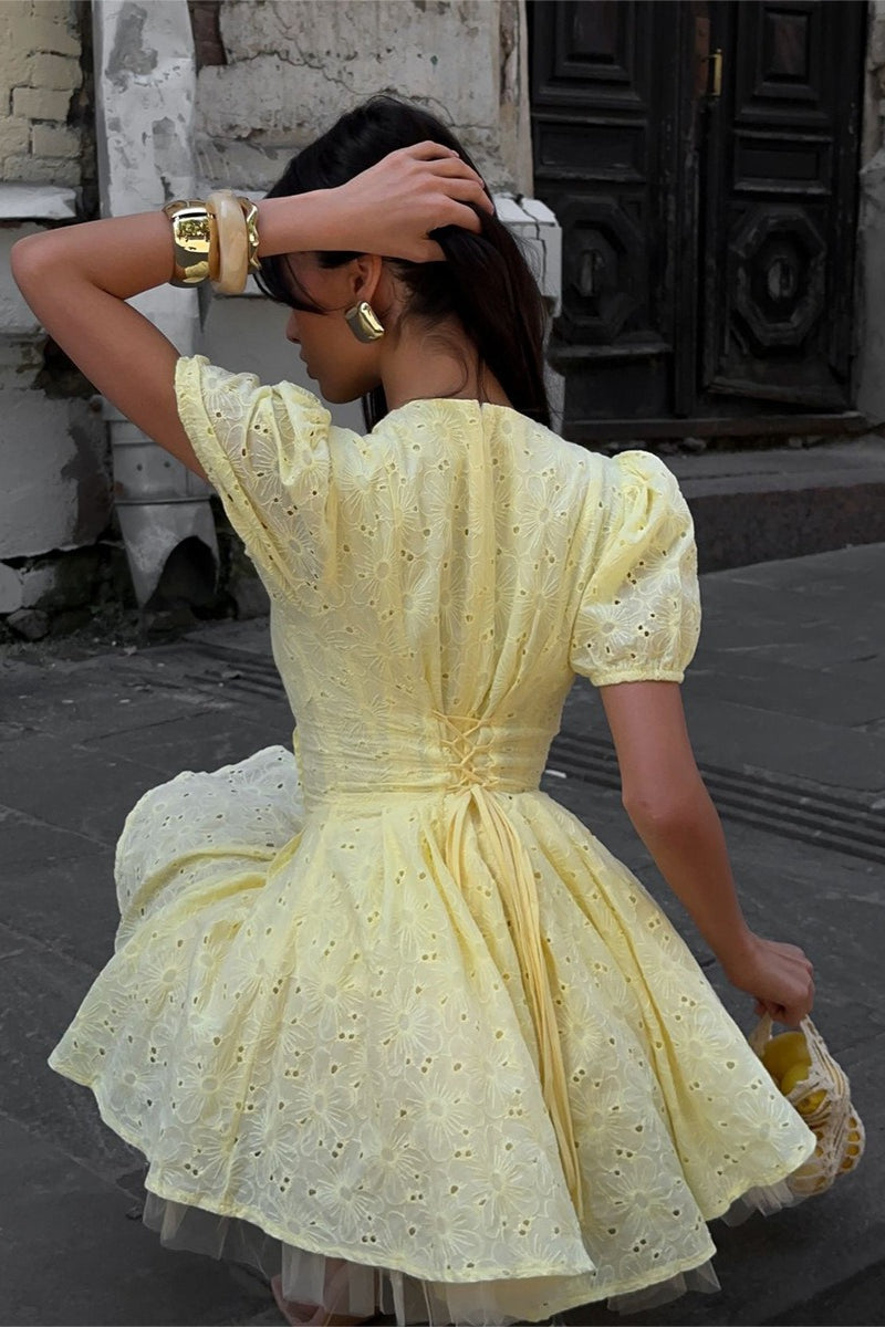 Eyelet Lace V-Neck Tie Front Puff Sleeve Fit and Flare Mini Dress