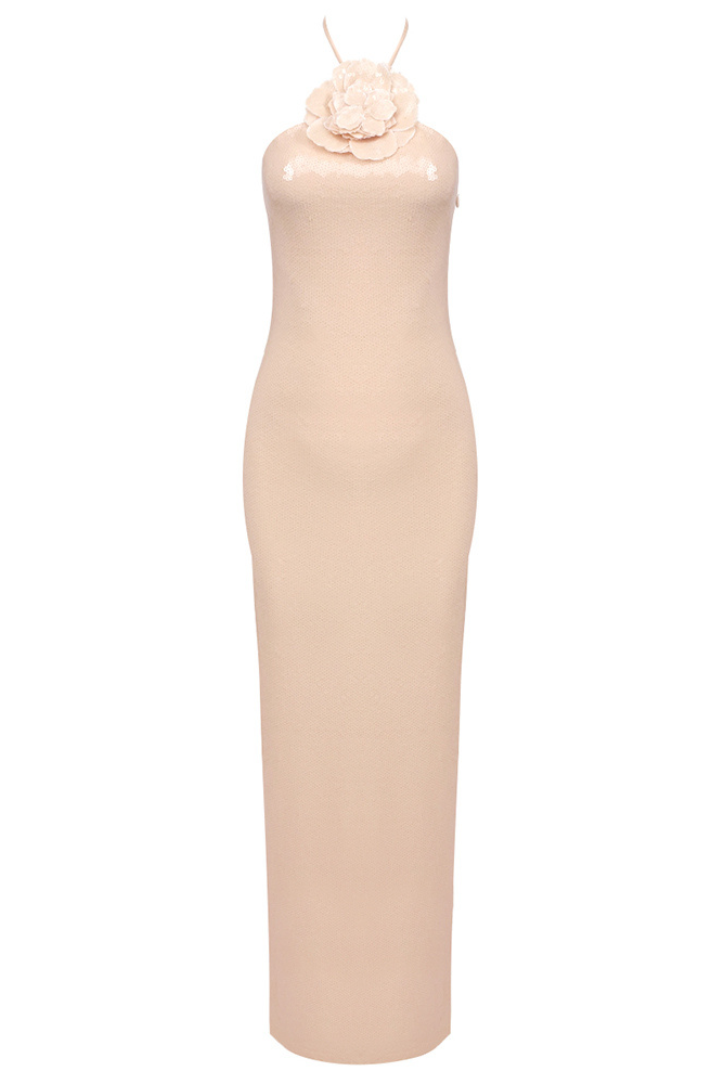 Virginia Floral Applique Sequin Maxi Dress