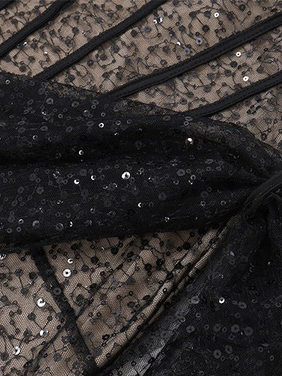 Sequins Boning Lace Fishnet Tube Ribbon Dress