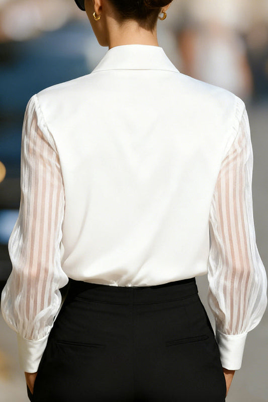 Solid Color Satin Loose-fitting See-through Long-sleeved Casual Shirt