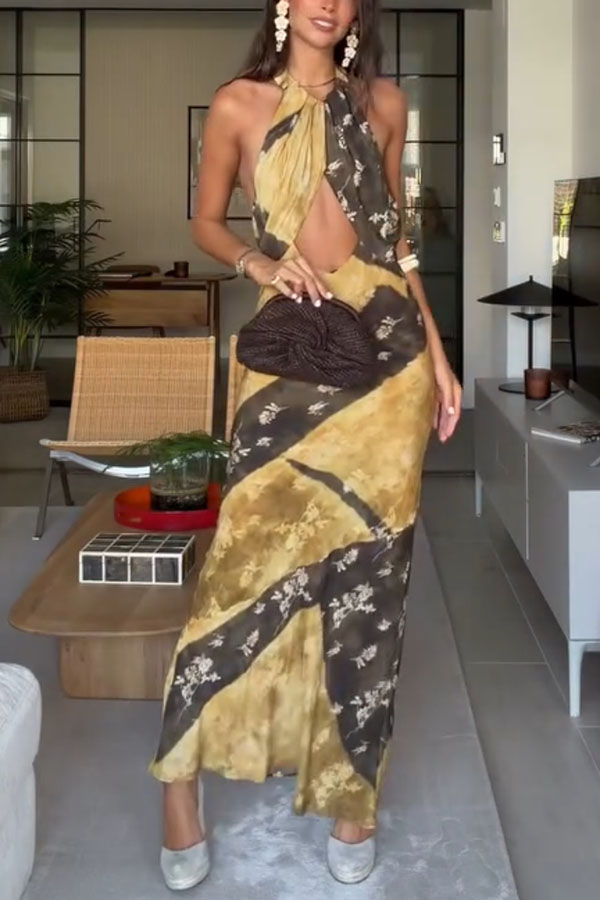 Ninah Color-block Floral Print Cutout Adjustable Halter Neck Maxi Dress