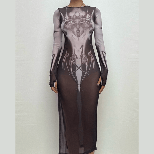 Long sleeve sheer mesh print midi dress
