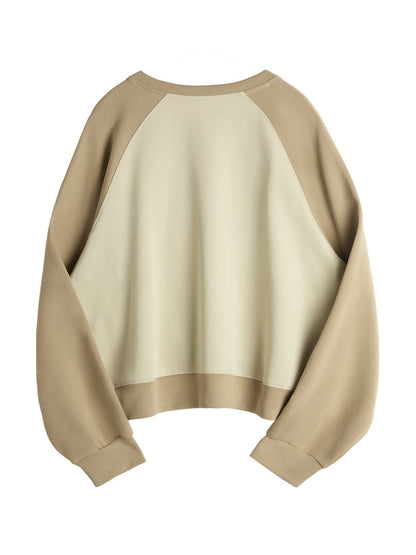 Letter Print Color Block Splice Raglan Oversized Hoodie