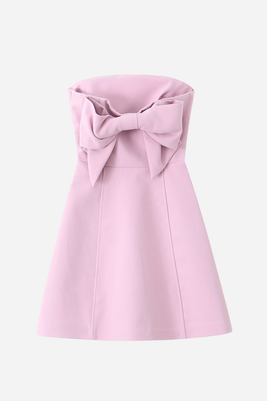 Truda Big Bowknot Tube A-line Mini Dress