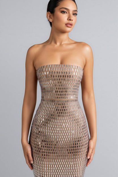 Cary Rhinestone Embellished Sheath Maxi Dress