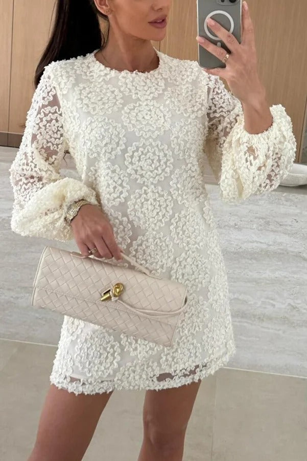 Lace Rosette Textured Crew Neck Balloon Sleeve Mini Dress