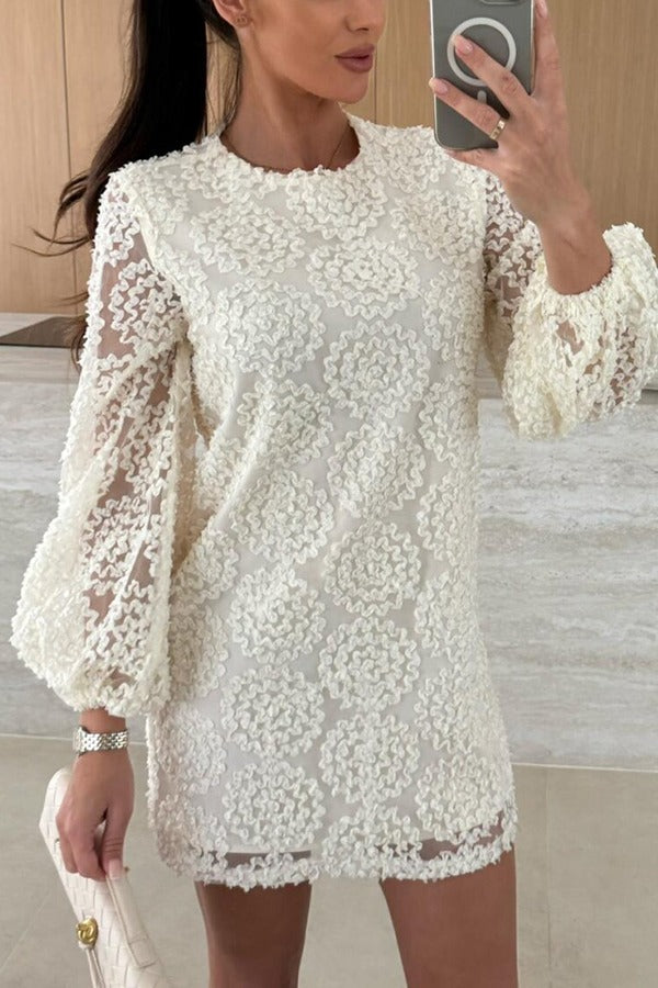 Lace Rosette Textured Crew Neck Balloon Sleeve Mini Dress