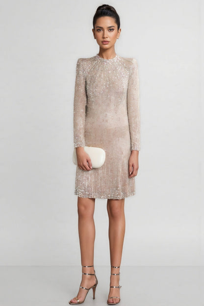 Eclipsk Crystal Crunch Paris Mini Dress