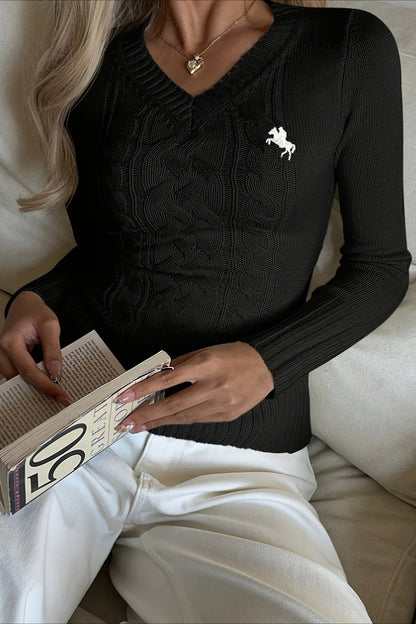 Embroidered V-Neck Sweater Knit Top