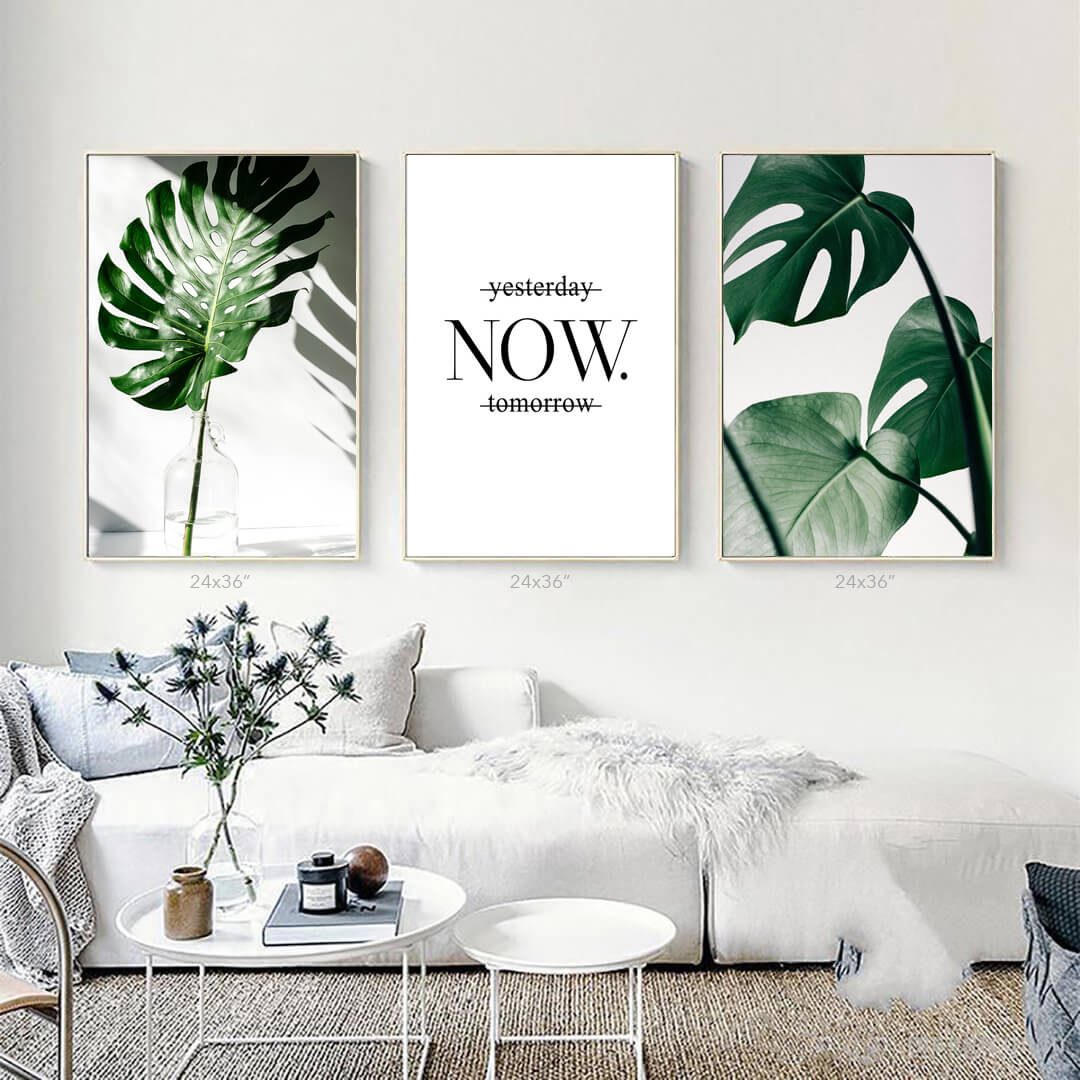 Tropical Monstera