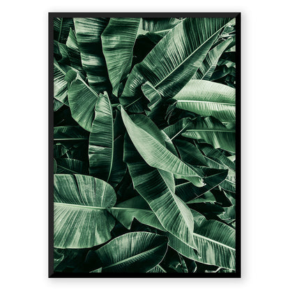 Tropic Jungle