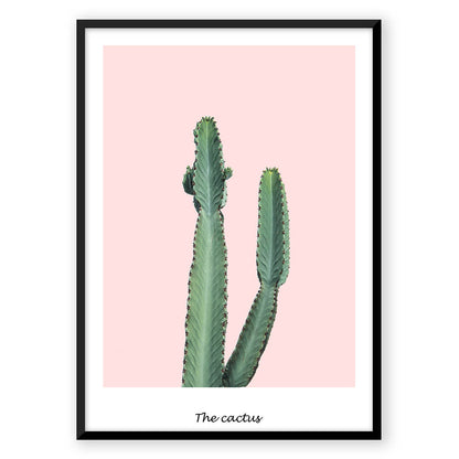 Pink Cactus