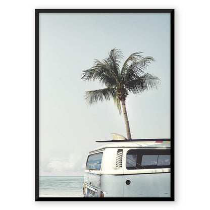 Coconut Paradise