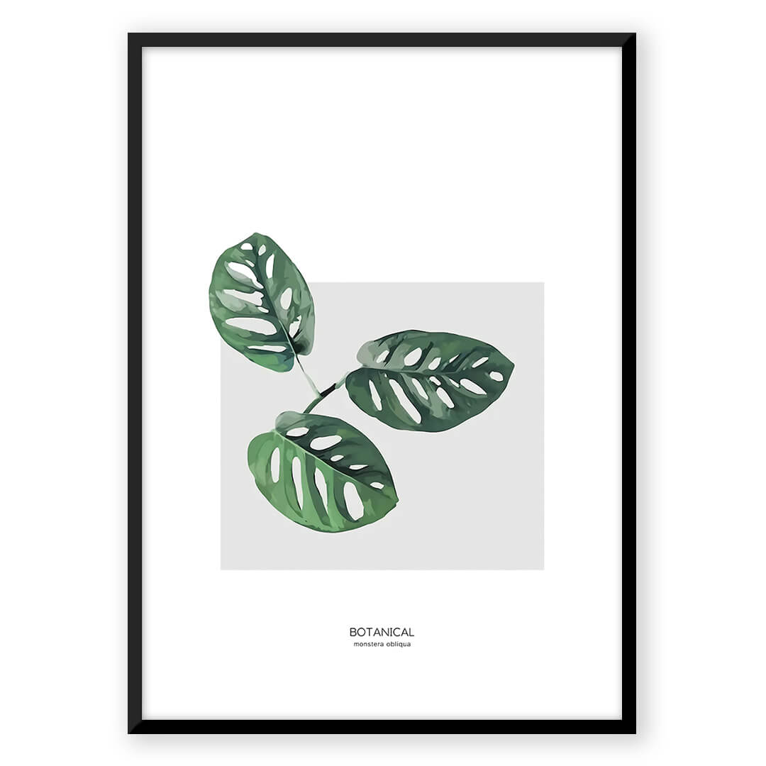 Harmonious Leaves