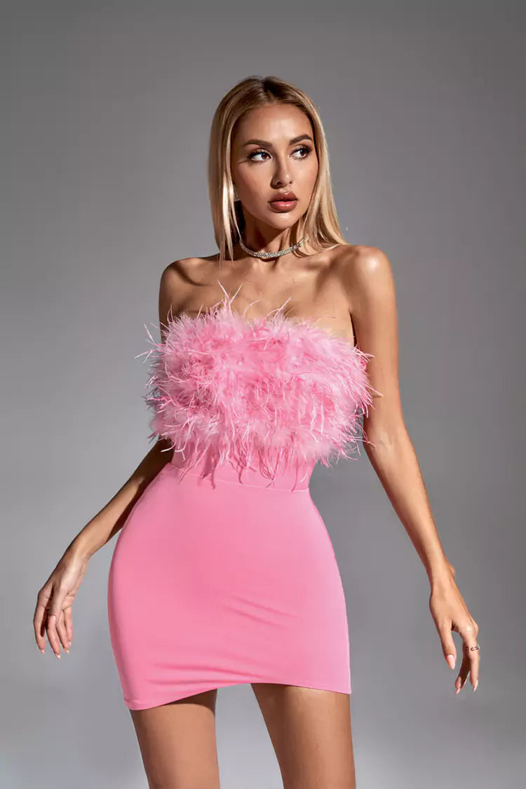 Annabelle Pink Feather Dress