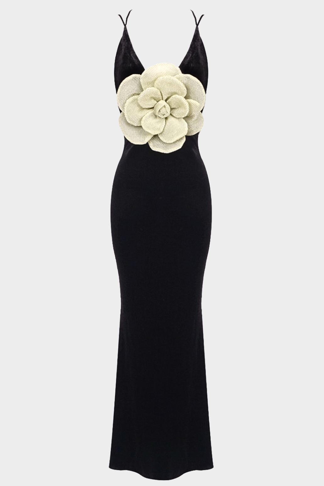 Aurora Floral Velvet Backless Maxi Dress