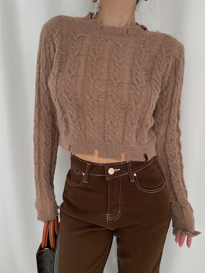 Semi-Sheer Snowflake Crochet Knit Shirt
