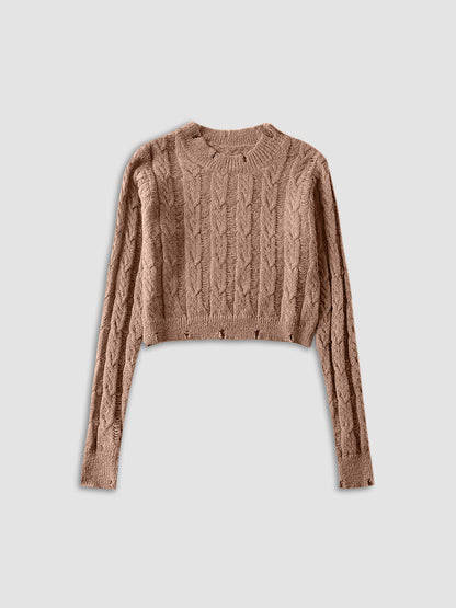 Semi-Sheer Snowflake Crochet Knit Shirt