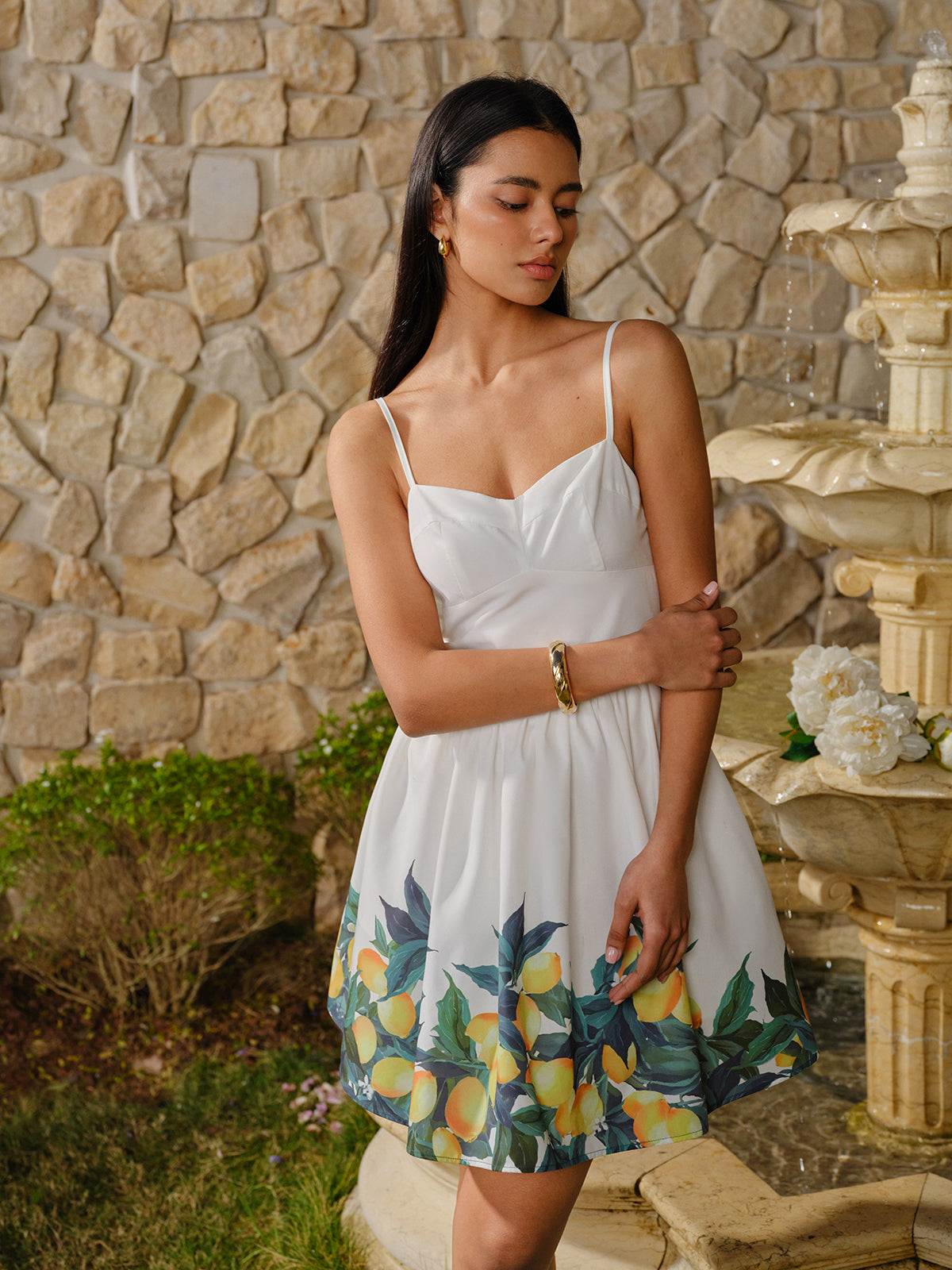 Lemon Print Corset A-Line Dress