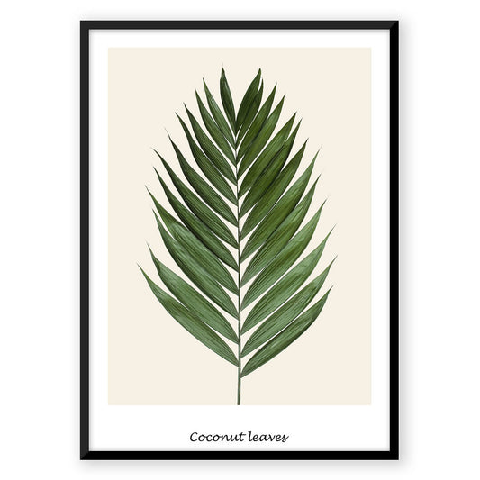 Coconut Leaves