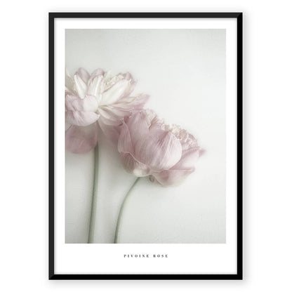 Flower & Feather Quote