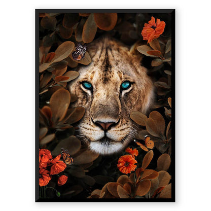 Lioness