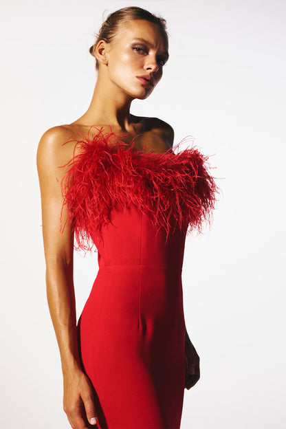 Veronica Feather Trim Strapless Maxi Dress