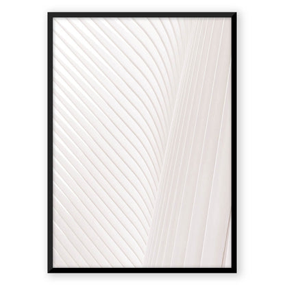 Minimalist Aura