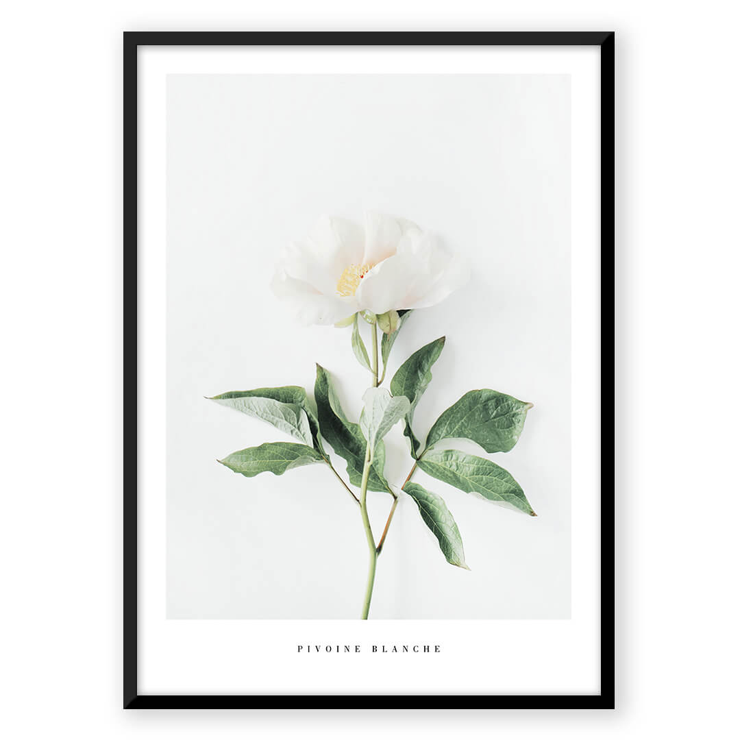 Flower & Feather Quote