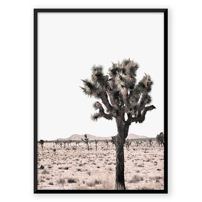 Desert Ocean