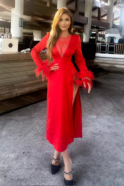 Charlee Red Feather Diamante Dress