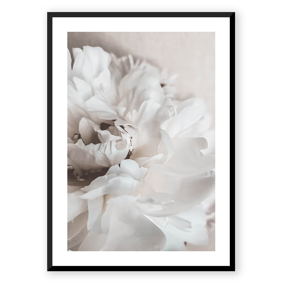 Petals