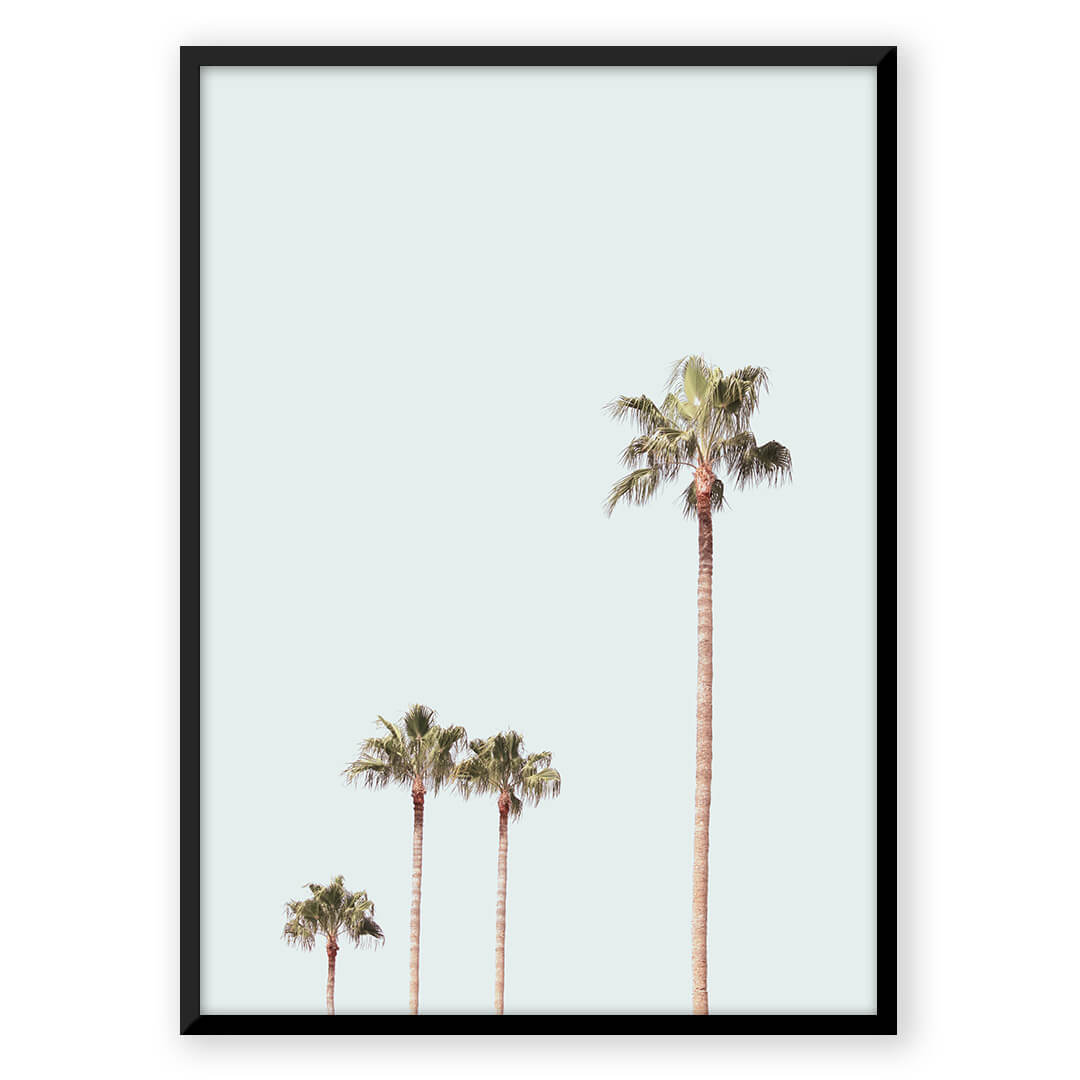 Ocean Breeze