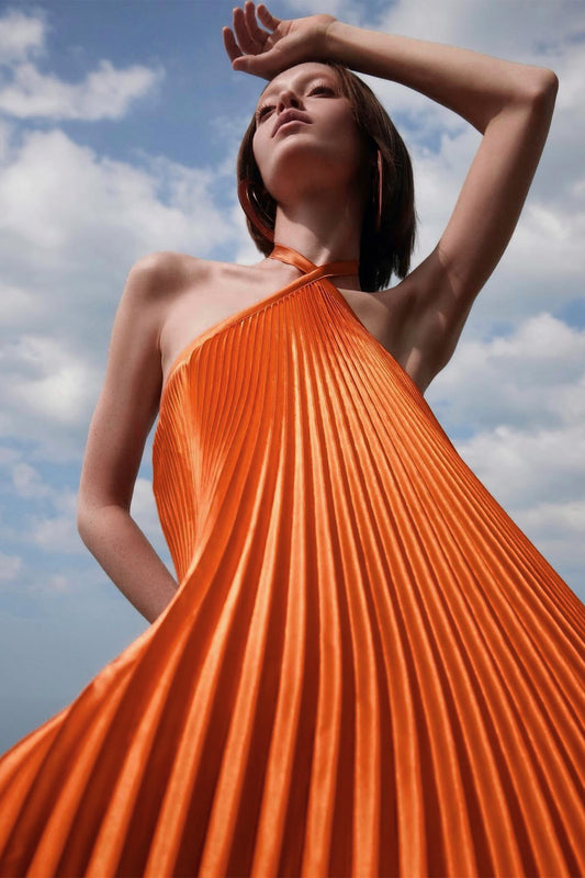 Novia Halter Neck Pleated Maxi Dress