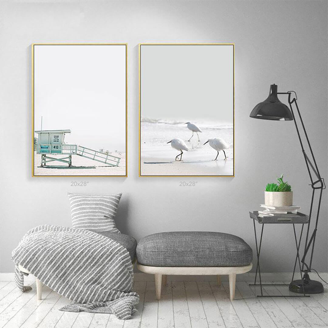 Sea Birds