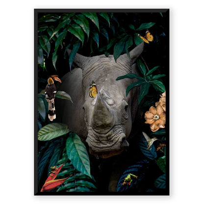 Rhinoceros